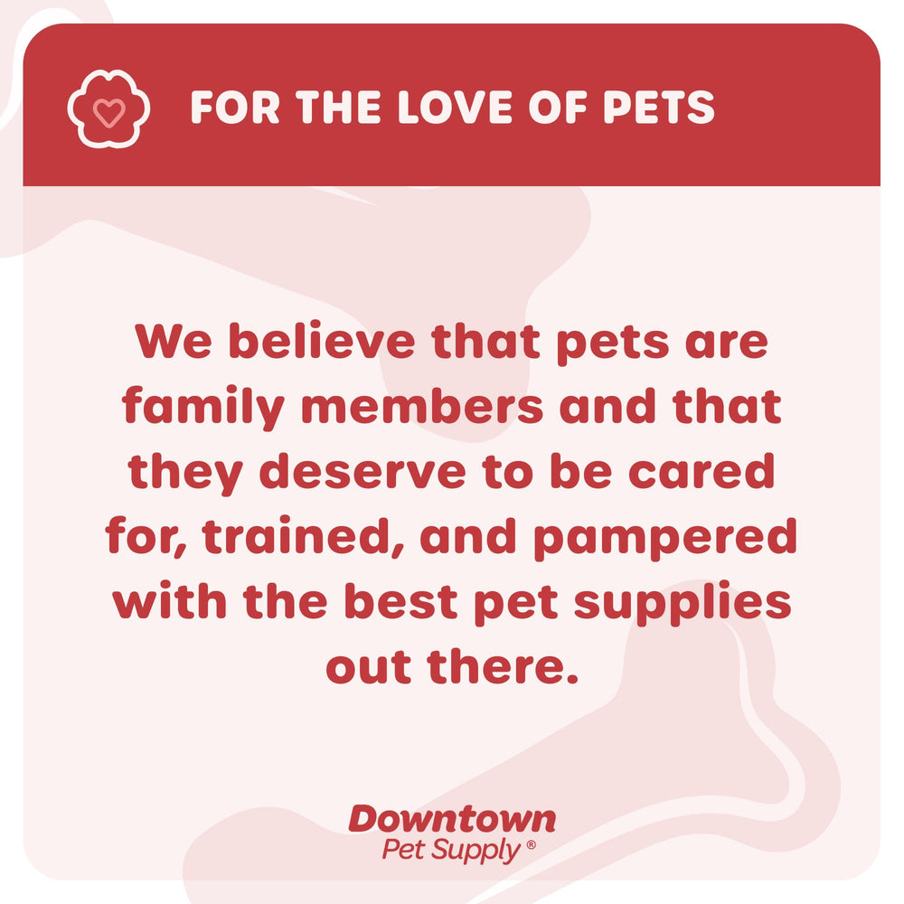 Downtown Pet Supply Durable material harness blue emphasizes long-lasting comfort and resilience
