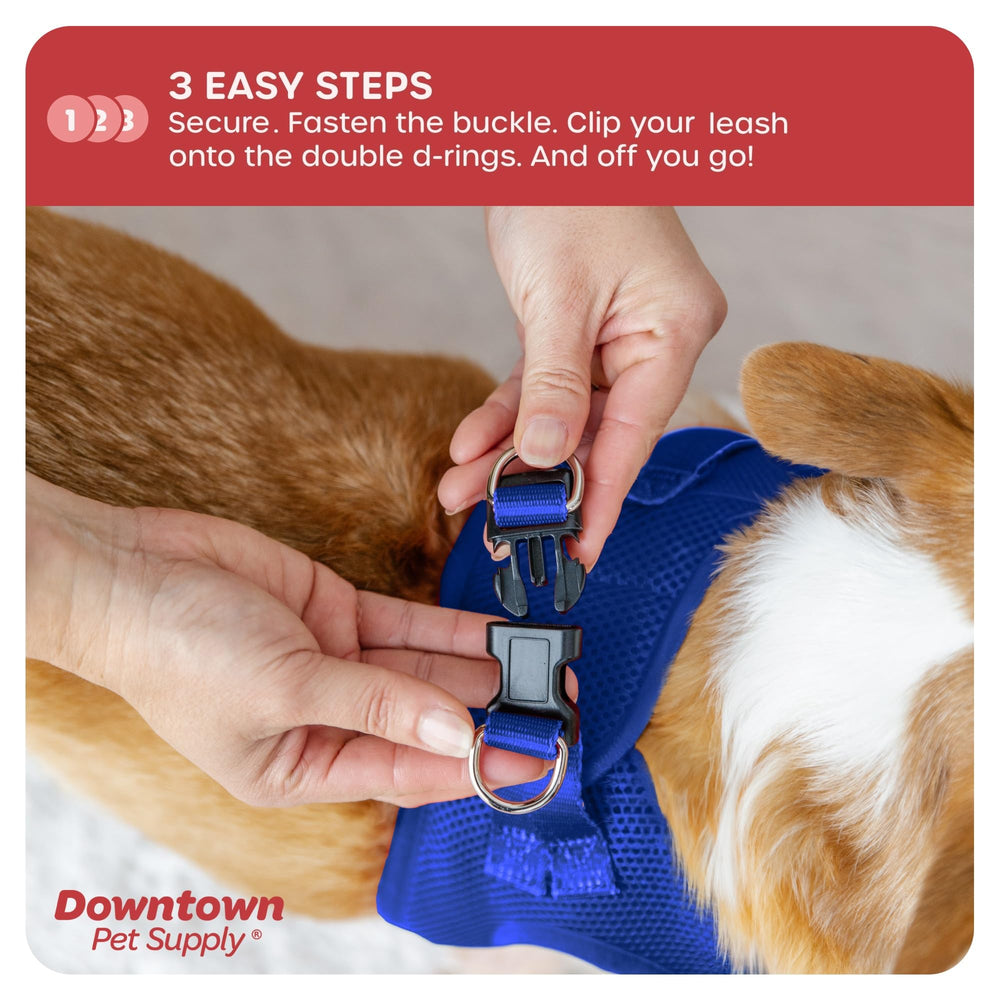 Downtown Pet Supply Harness secure buckle features double D-rings for reliable control