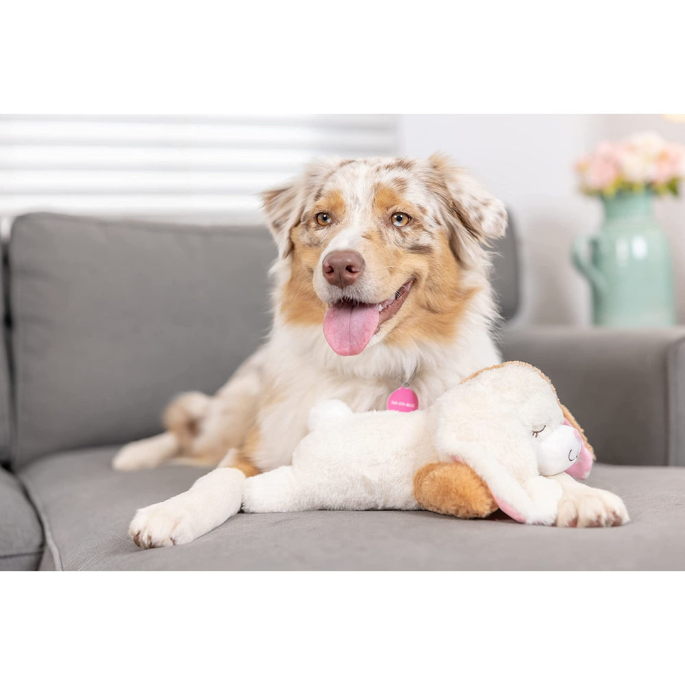 Downtown Pet Supply heartbeat puppy toy 12-inch size for dogs of all breeds