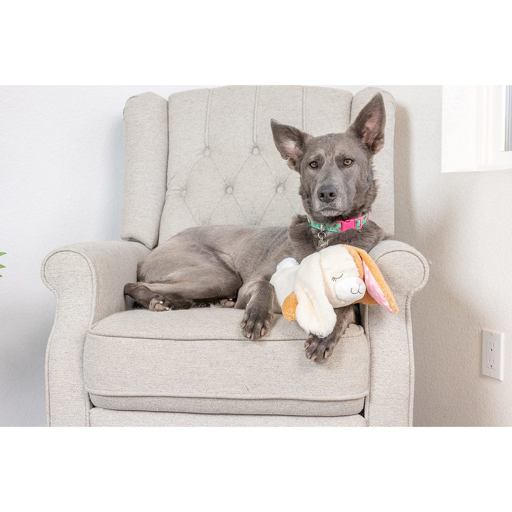 Downtown Pet Supply heartbeat puppy toy anxious dog comfort during separation