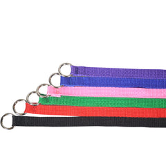 Downtown Pet Supply kennel slip lead pack 120 for bulk veterinary, daycare or rescue use.