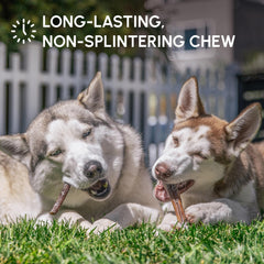Downtown Pet Supply low-odor bully stick suitable for indoor use