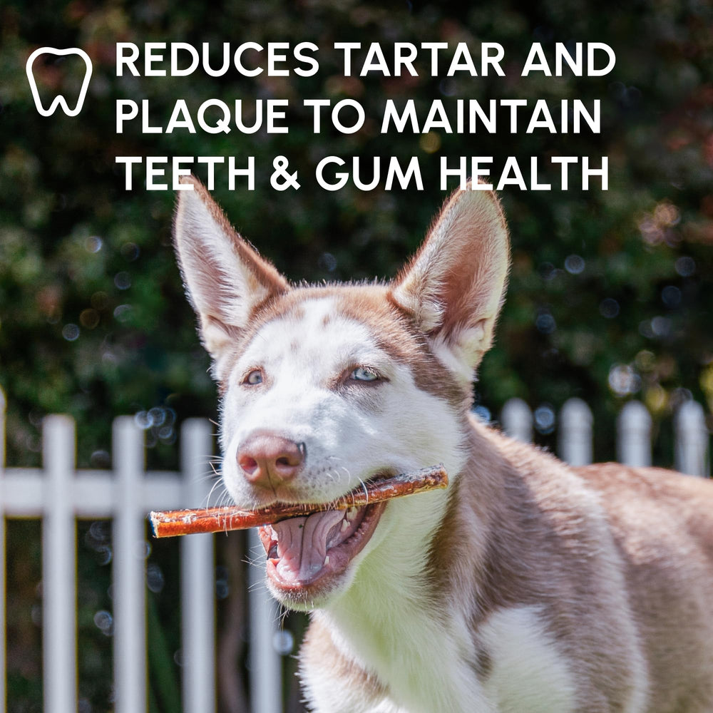 Downtown Pet Supply USA-made bully sticks sign demonstrates quality and safety.
