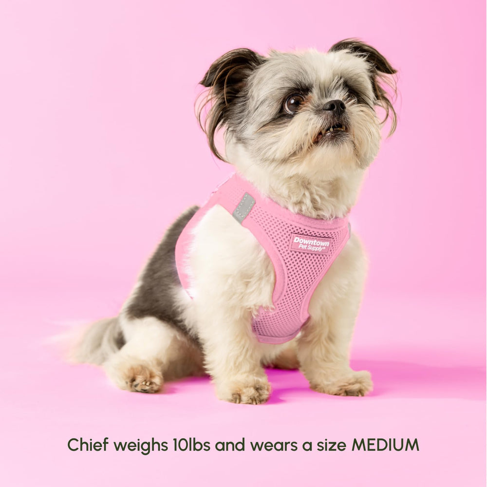 Downtown Pet Supply padded-mesh harness for small dogs, adjustable fit for secure everyday adventures.