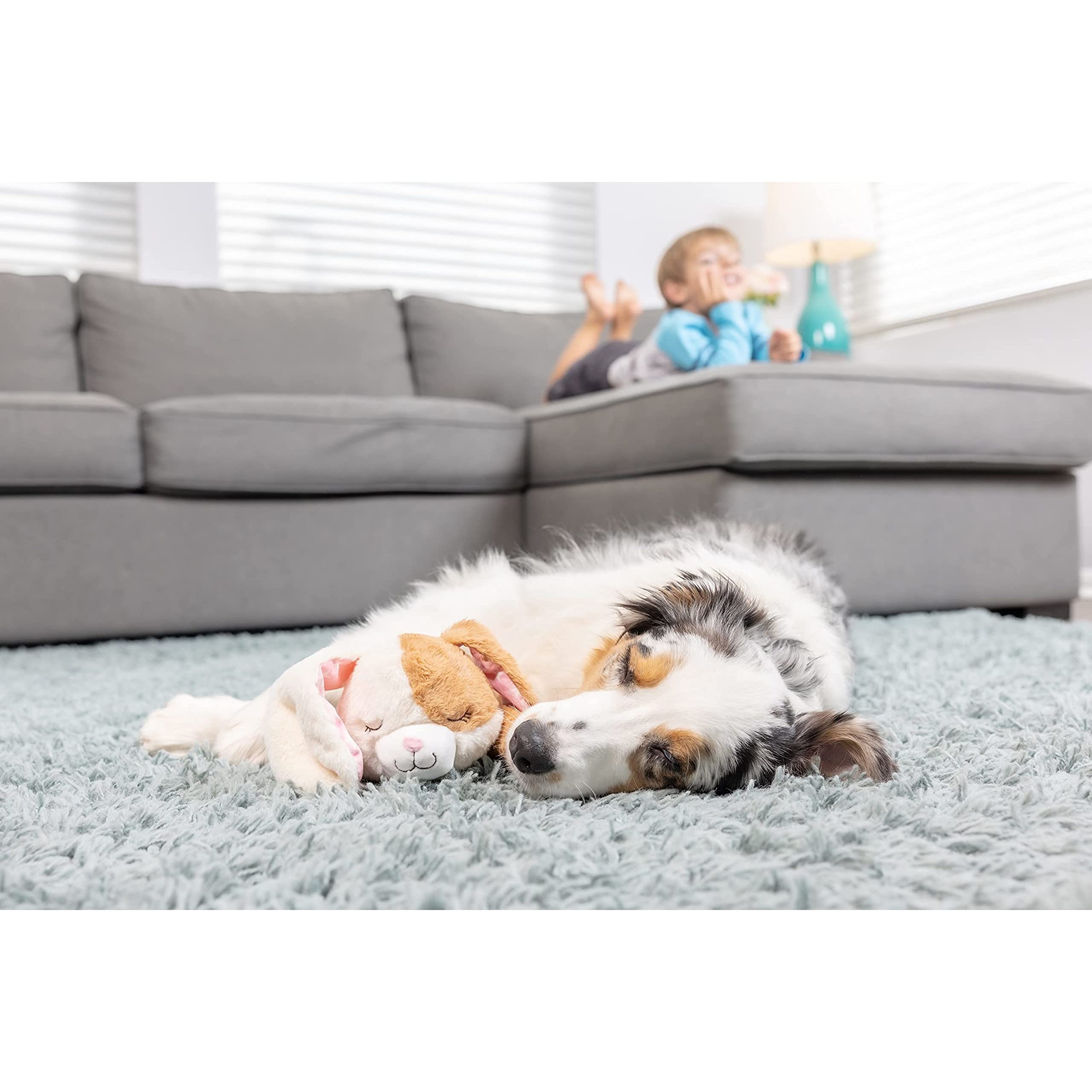 Downtown Pet Supply heartbeat toy battery-operated pulsating feature requires 3 AAA batteries