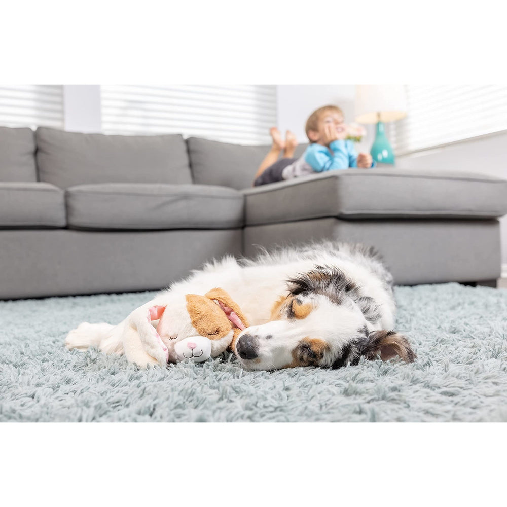 Downtown Pet Supply heartbeat toy battery-operated pulsating feature requires 3 AAA batteries