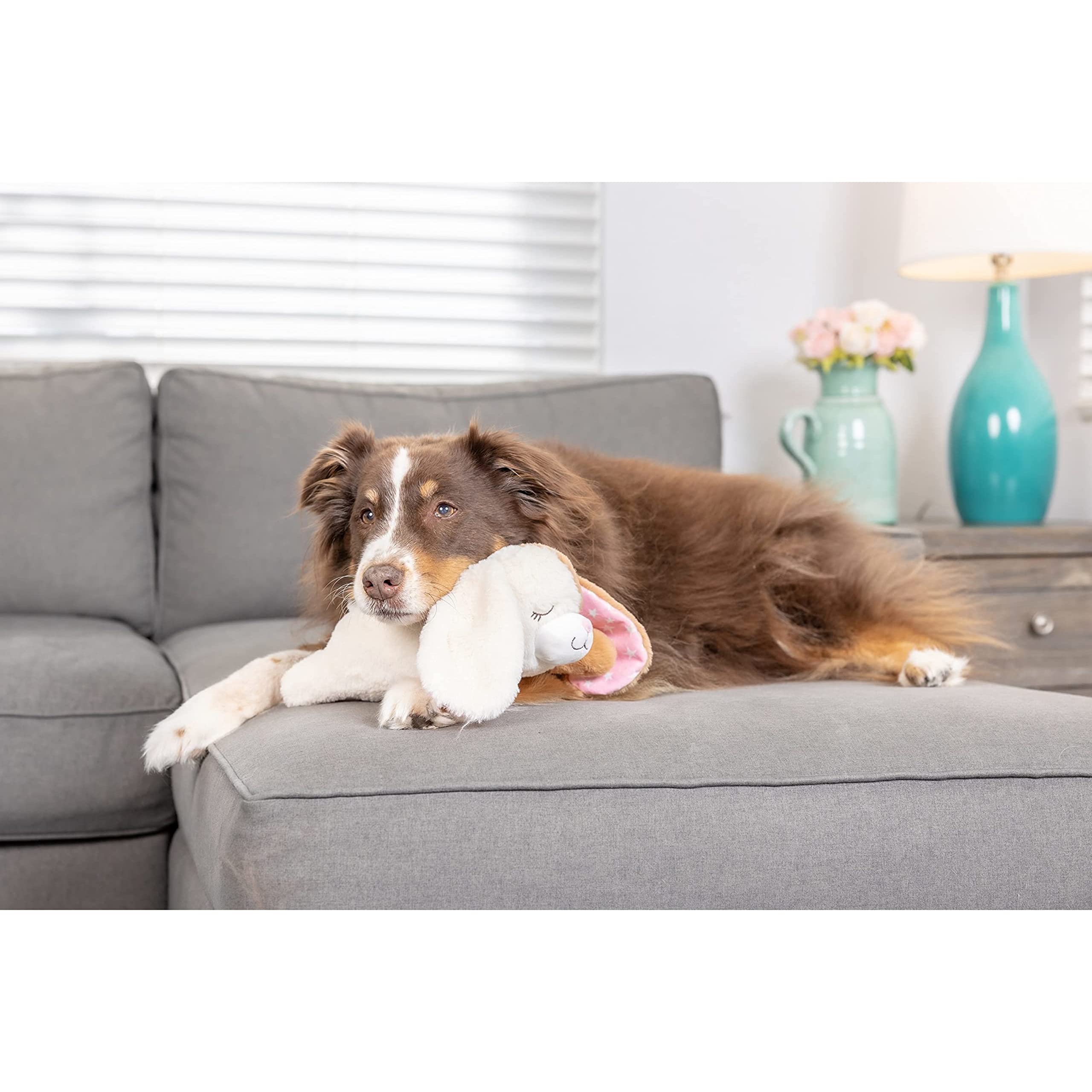 Downtown Pet Supply puppy toy in-use sleep mode helps comfort during rest