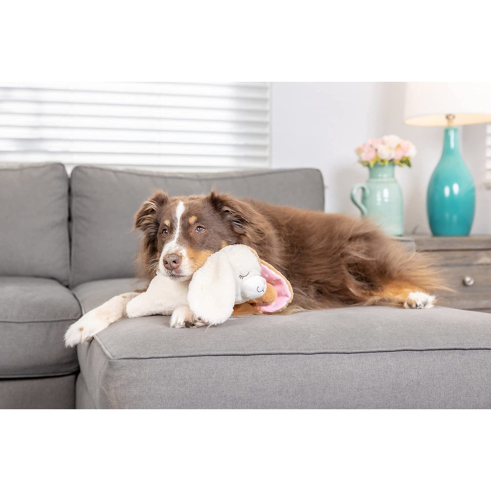 Downtown Pet Supply puppy toy in-use sleep mode helps comfort during rest