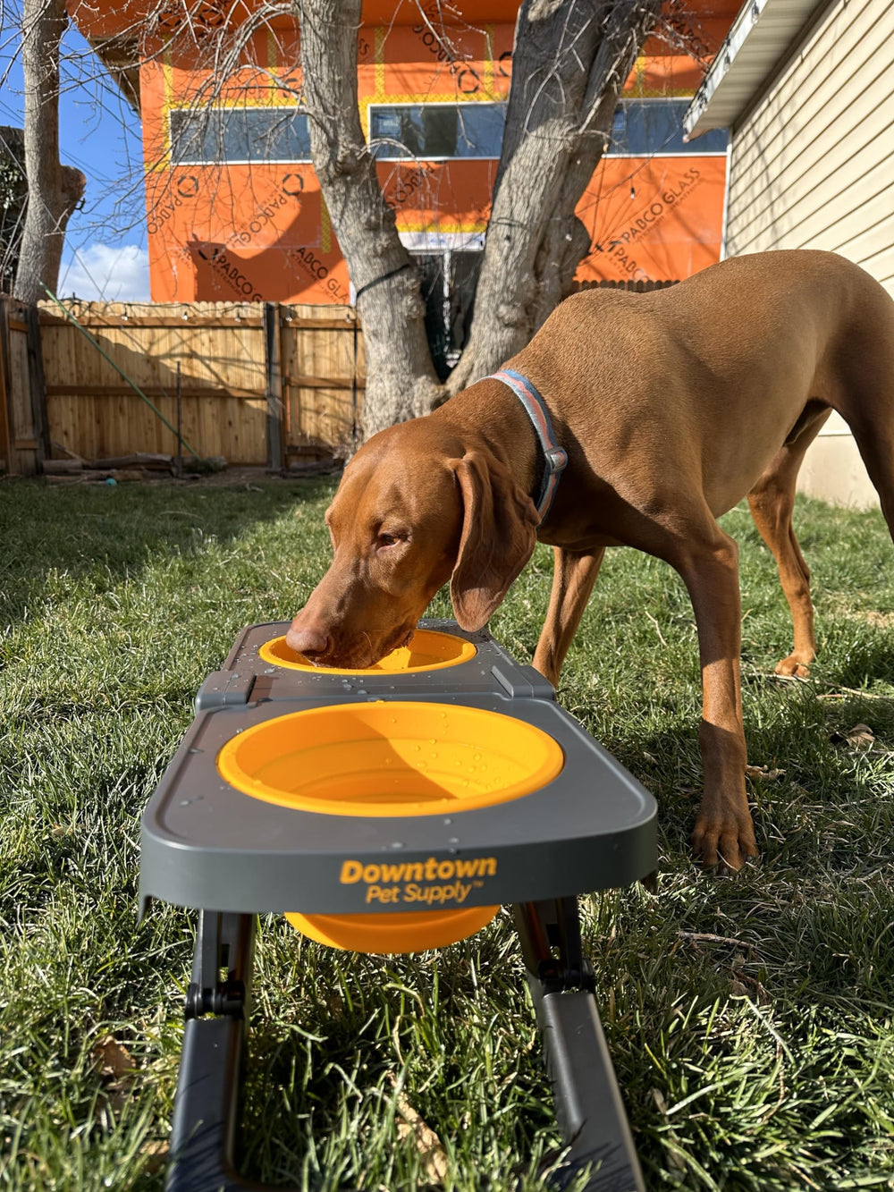 Downtown Pet Supply raised dog bowl sizes accommodate dogs from small to large.