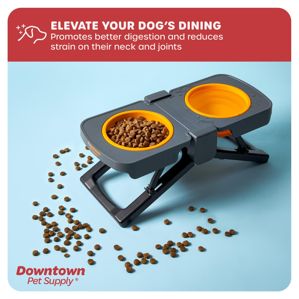 Downtown Pet Supply raised dog bowl two bowls set for food and water on trips.