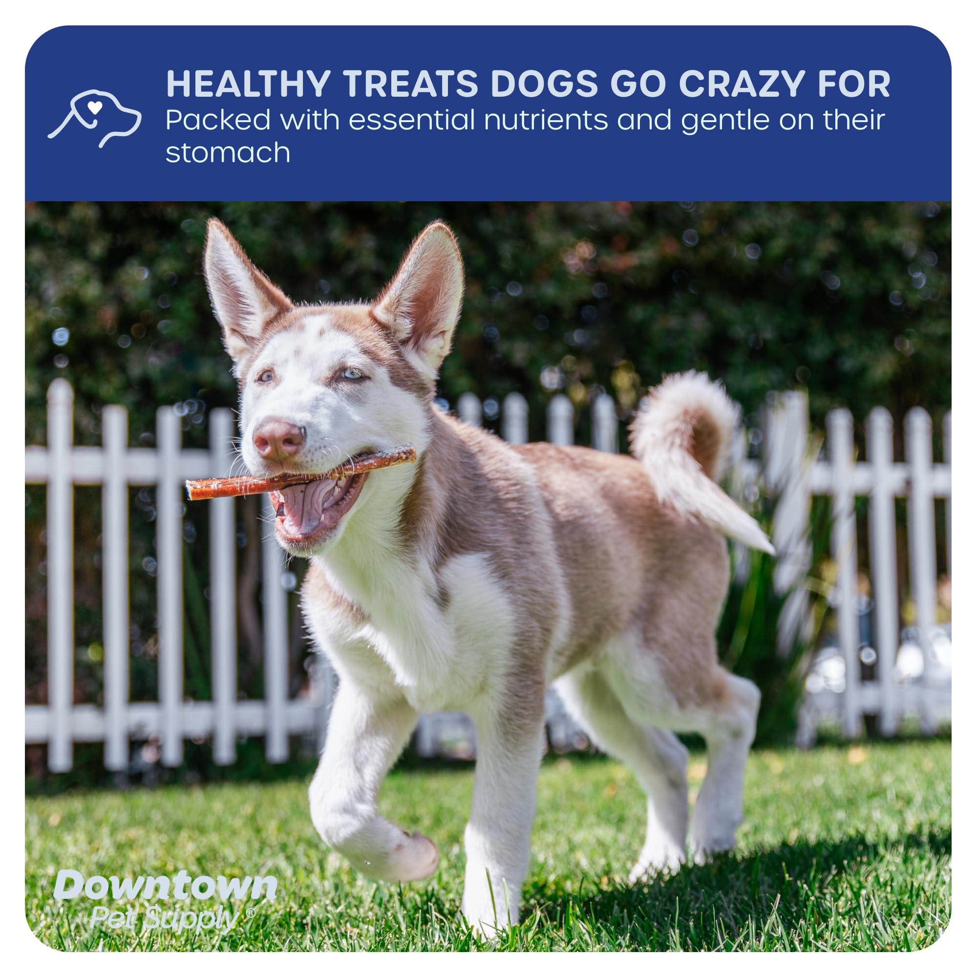 Downtown Pet Supply rawhide-free dog chew pieces ideal for safe teething relief.