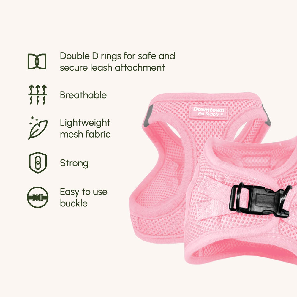 Downtown Pet Supply reflective-trim harness at night, enhancing visibility during evening walks.
