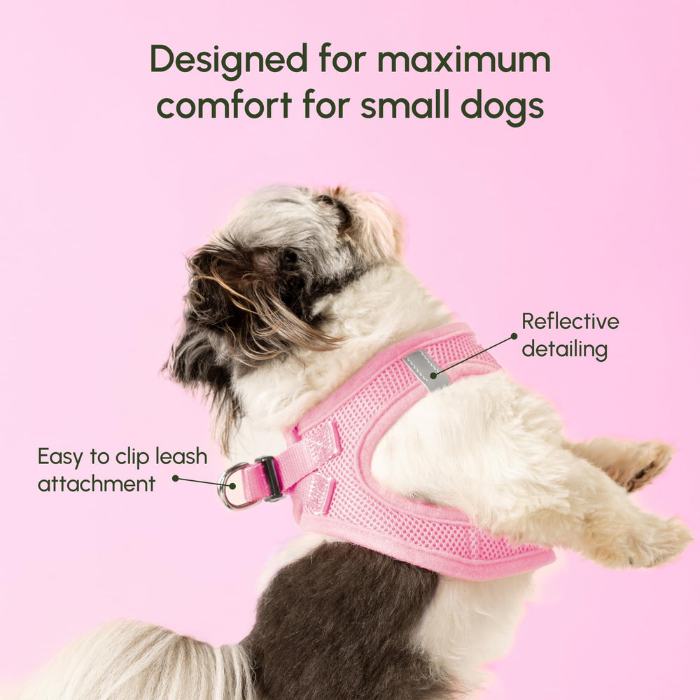 Downtown Pet Supply secure-buckle dual-d-rings harness for confident control in crowded areas.