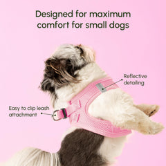 Downtown Pet Supply secure-buckle dual-d-rings harness for confident control in crowded areas.