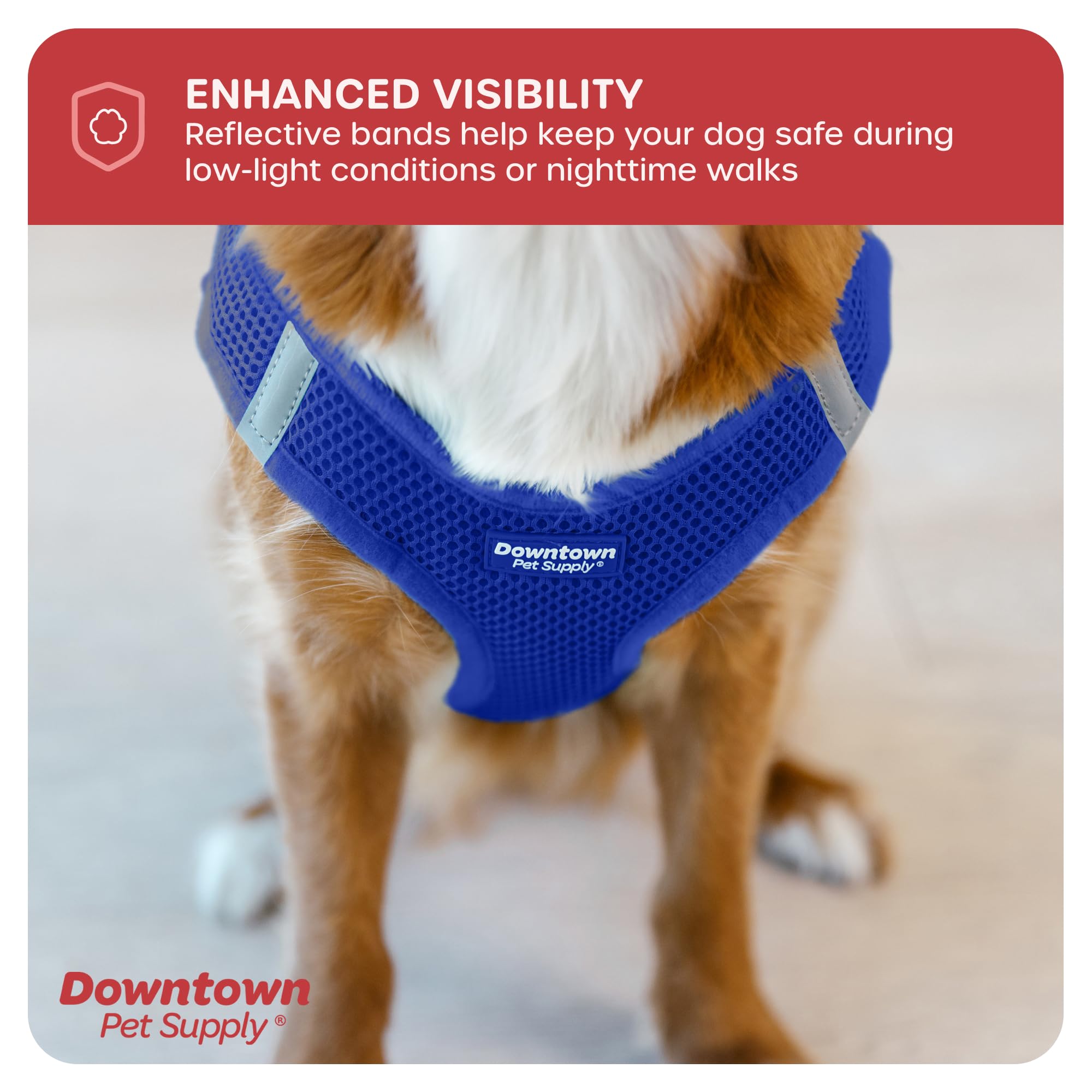 Downtown Pet Supply Step-in Harness in use during a stroll shows easy on/off