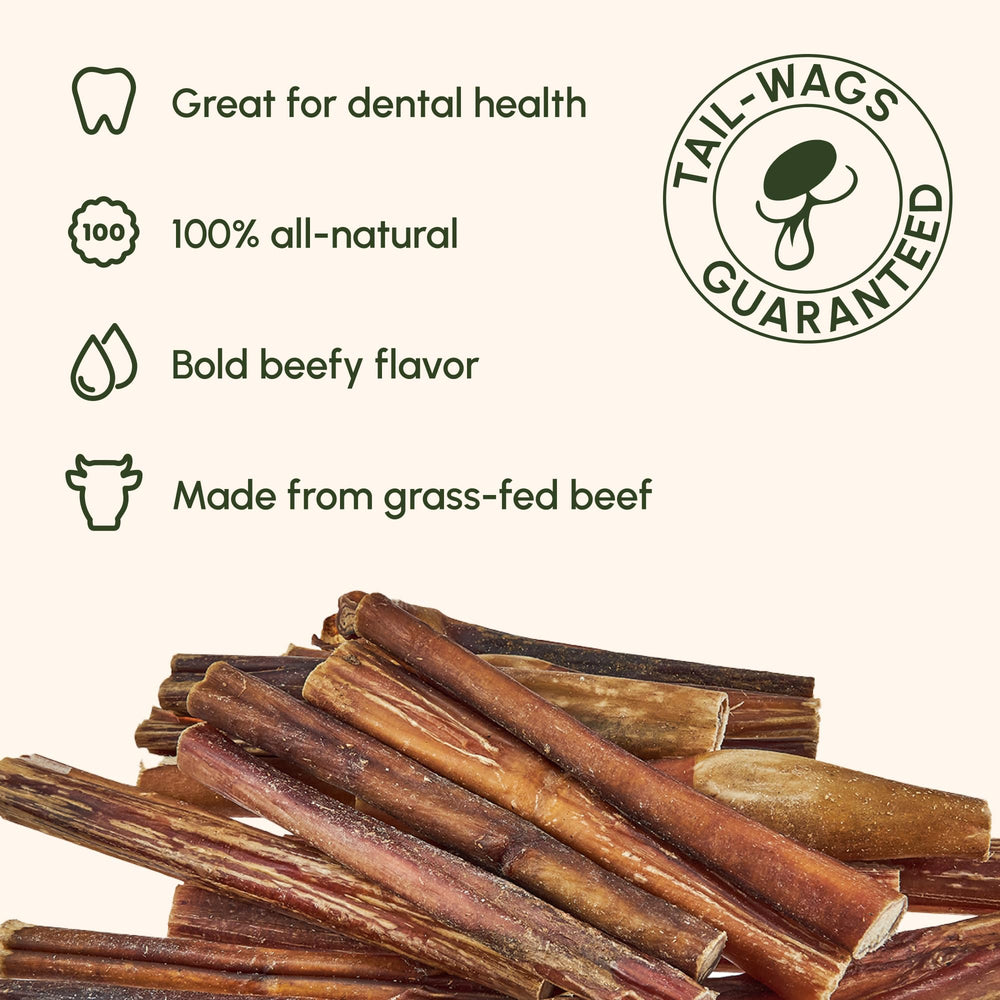 Downtown Pet Supply USA sourced beef bully stick highlighting origin and quality