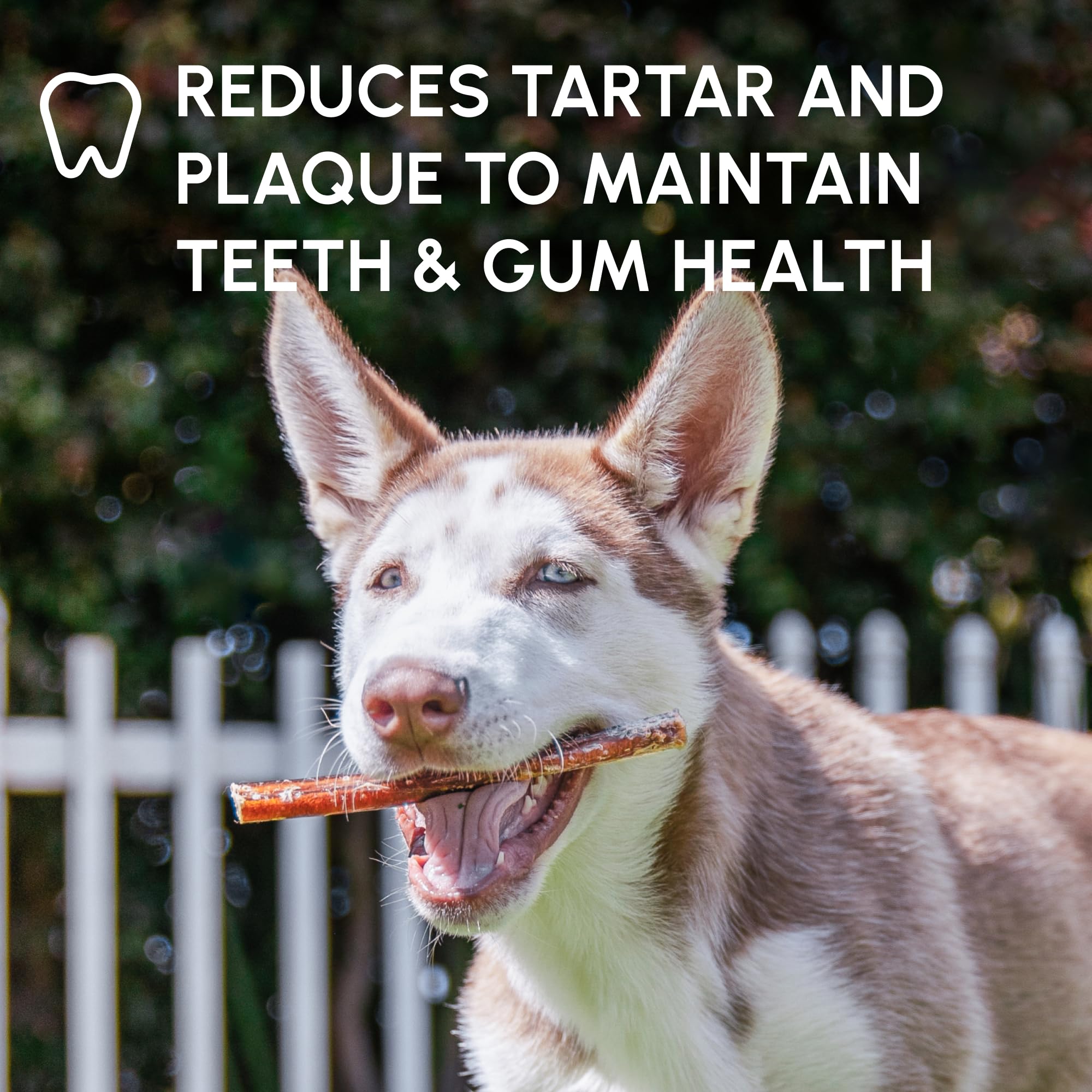 Downtown Pet Supply USA-sourced bully sticks packaging view