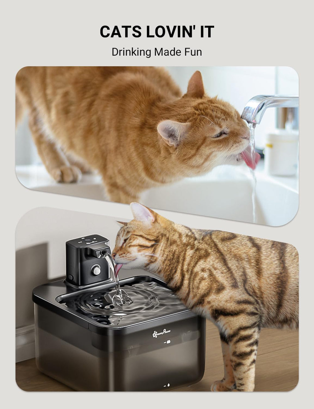 DownyPaws 5-level filtration system cleans water for healthier sipping