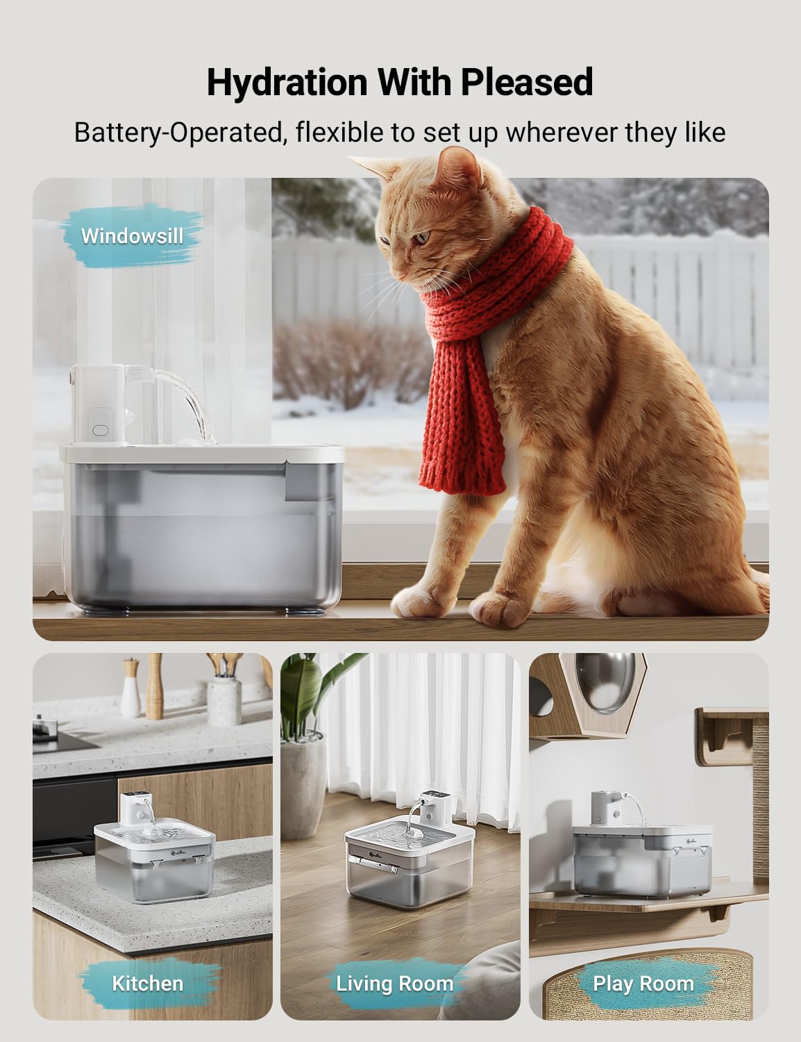 DownyPaws 84oz capacity provides ample water for multi-pet households