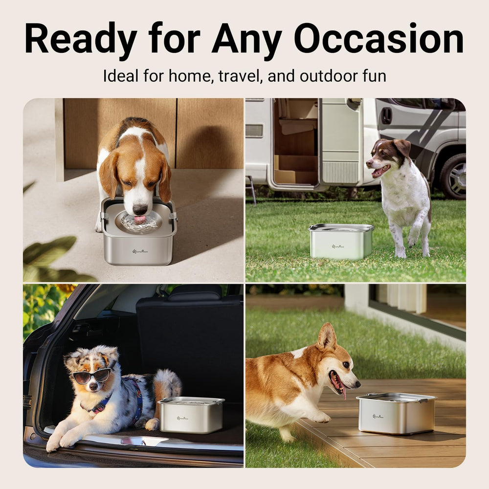 DownyPaws Non-slip base shows four pads gripping surfaces