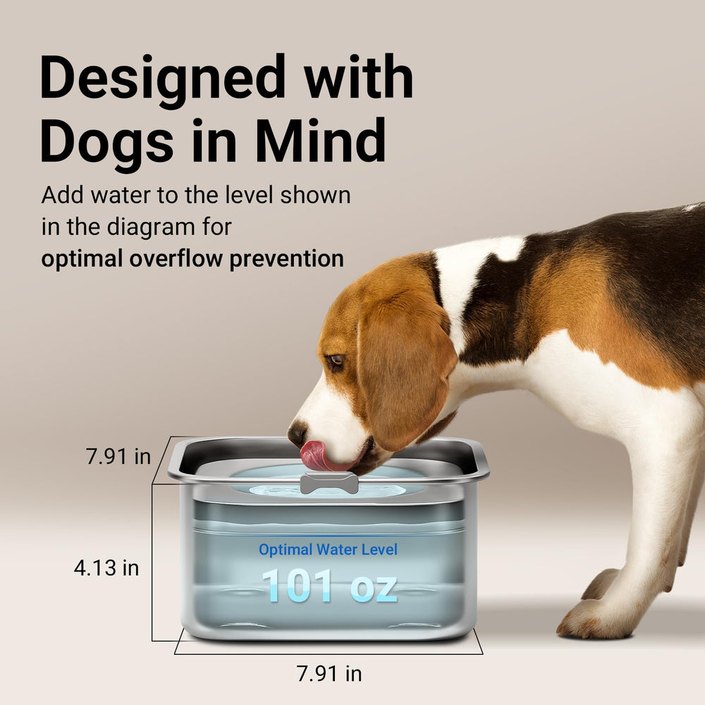 DownyPaws Stainless steel disk demonstrates durable top surface reducing chew risk