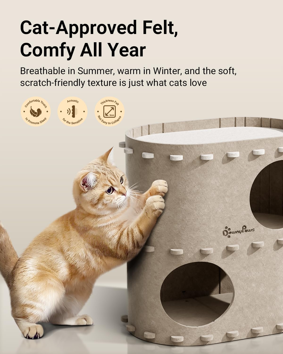 DownyPaws cat house bottom opening play—easy access for group games and peeks.