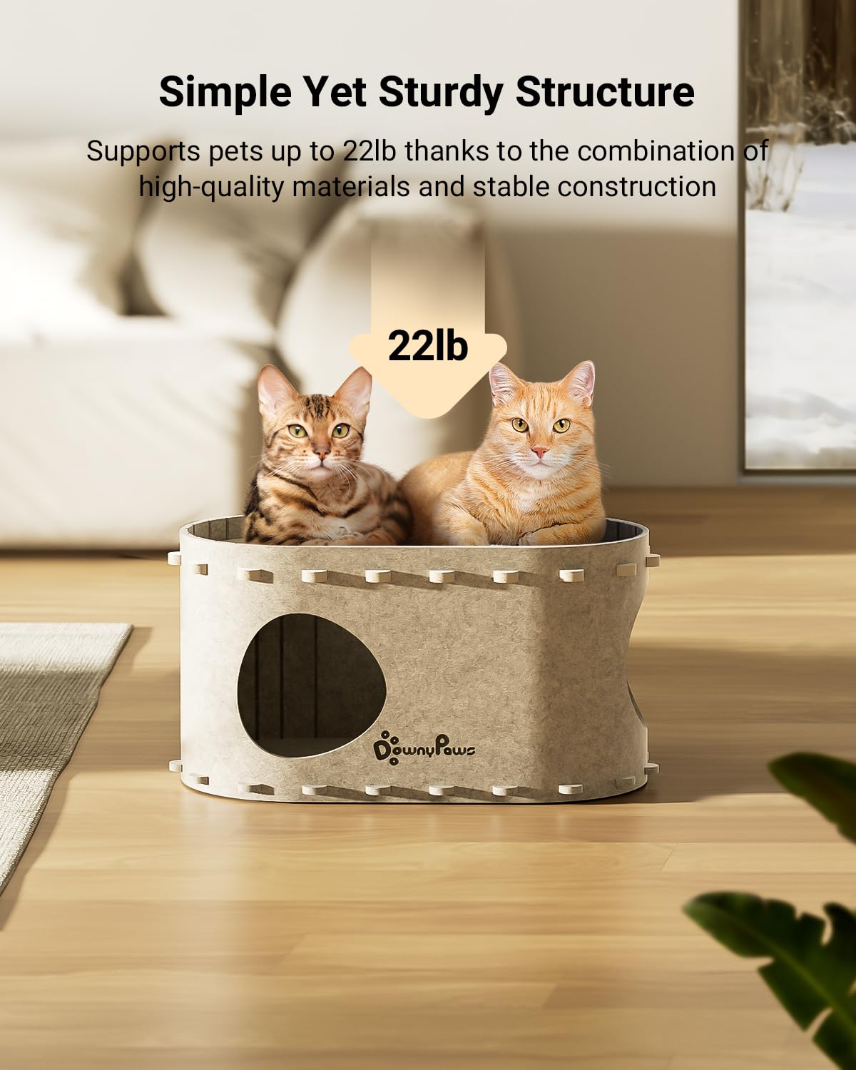 DownyPaws PeekaPurr compact yet spacious design supports larger cats up to 22 lbs.