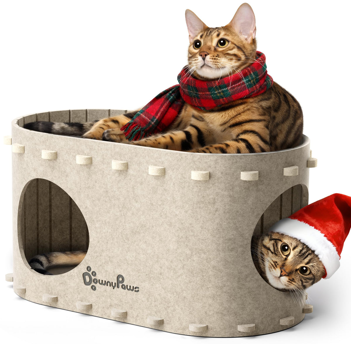 DownyPaws PeekaPurr two-in-one cat house for naps and play in compact space.