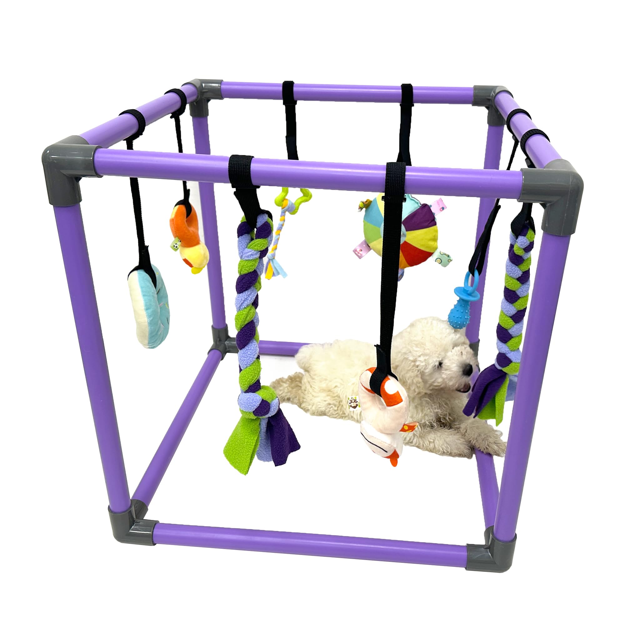 DOZZOPET Puppy Play Gym frame: safe PVC construction for indoor enrichment.