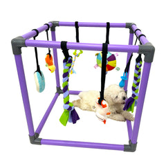 DOZZOPET Puppy Play Gym frame: safe PVC construction for indoor enrichment.
