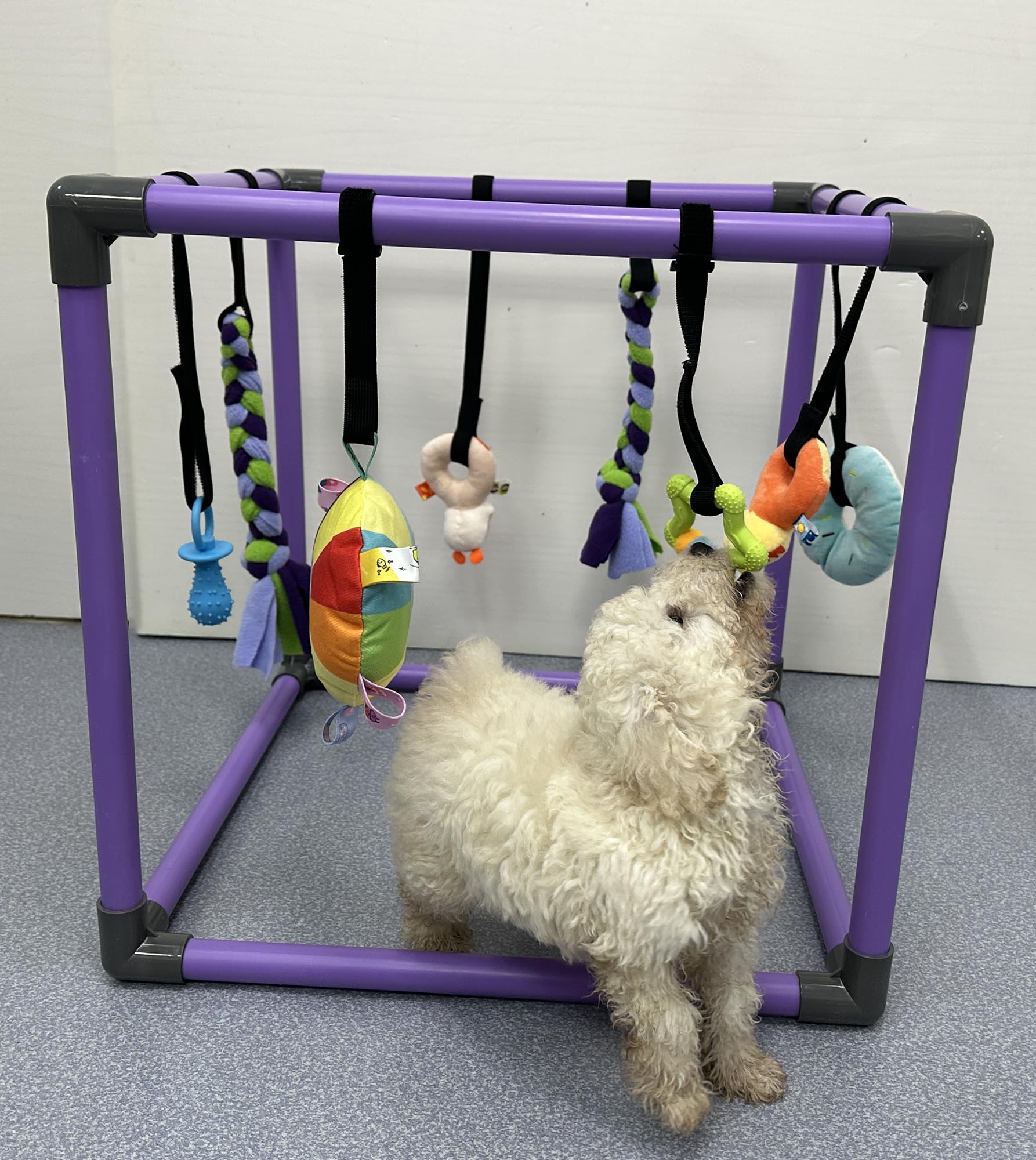 DOZZOPET compact 19.5-inch cube fits small spaces and whelping boxes.