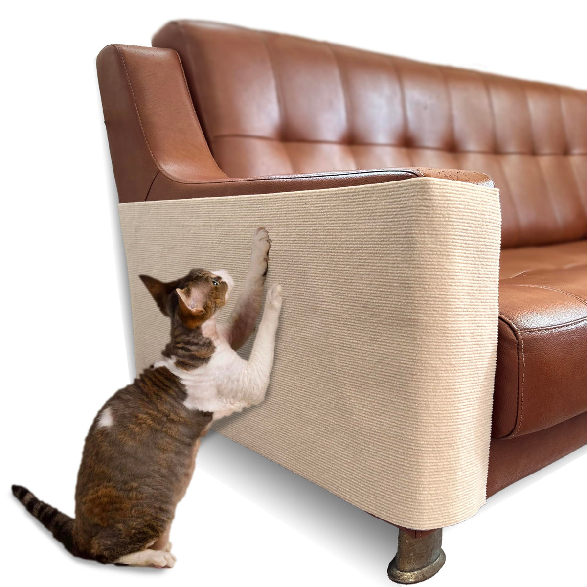 DOZZOPET self-adhesive cat scratch mat protecting a sofa corner.