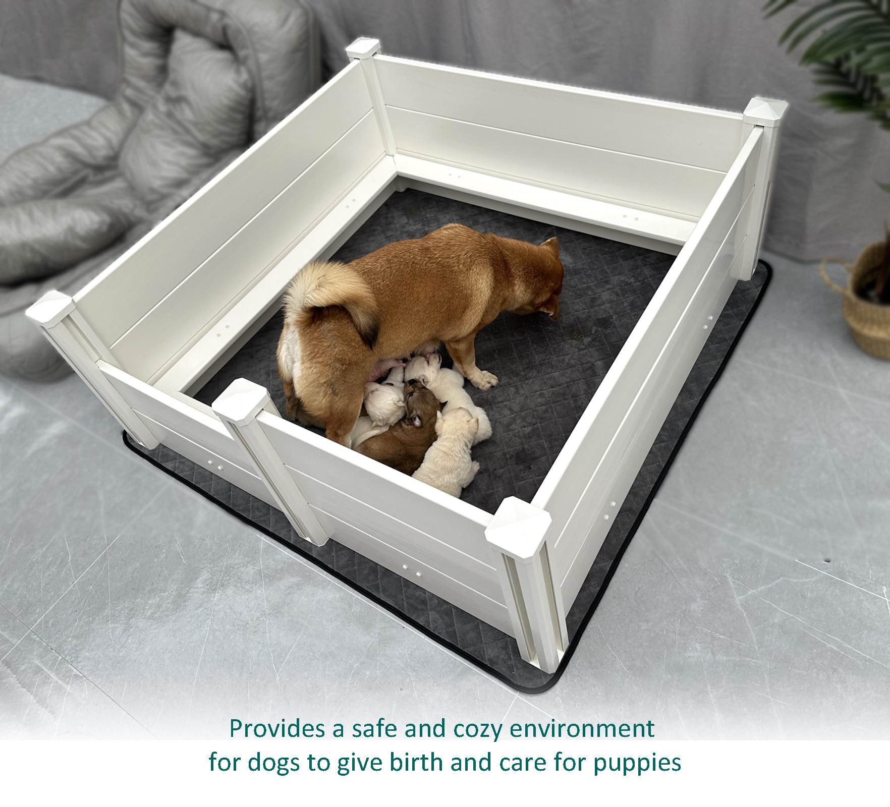 DOZZOPET whelping box in use with mom and puppies