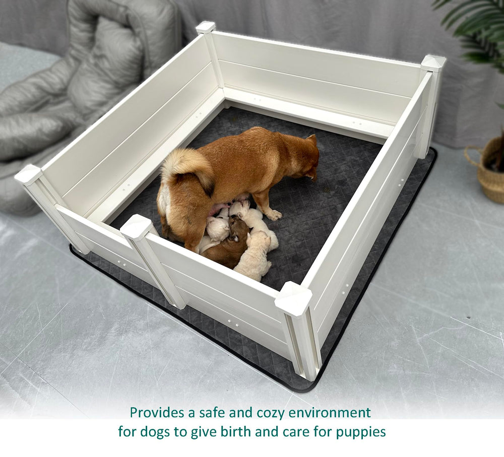 DOZZOPET whelping box in use with mom and puppies