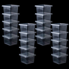 DQITJ 20-pack spider terrarium box for safe temporary housing of small arachnids.