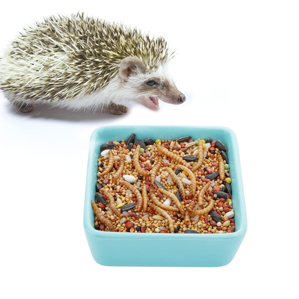 DQITJ anti-slip ceramic bowl base stabilizes feeding for small pets.