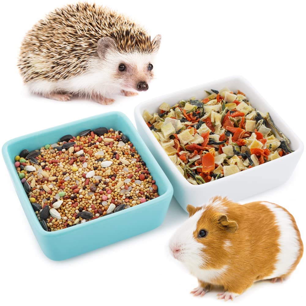 DQITJ pet ceramic bowls blue and white, two-pack, front view for stable feeding.