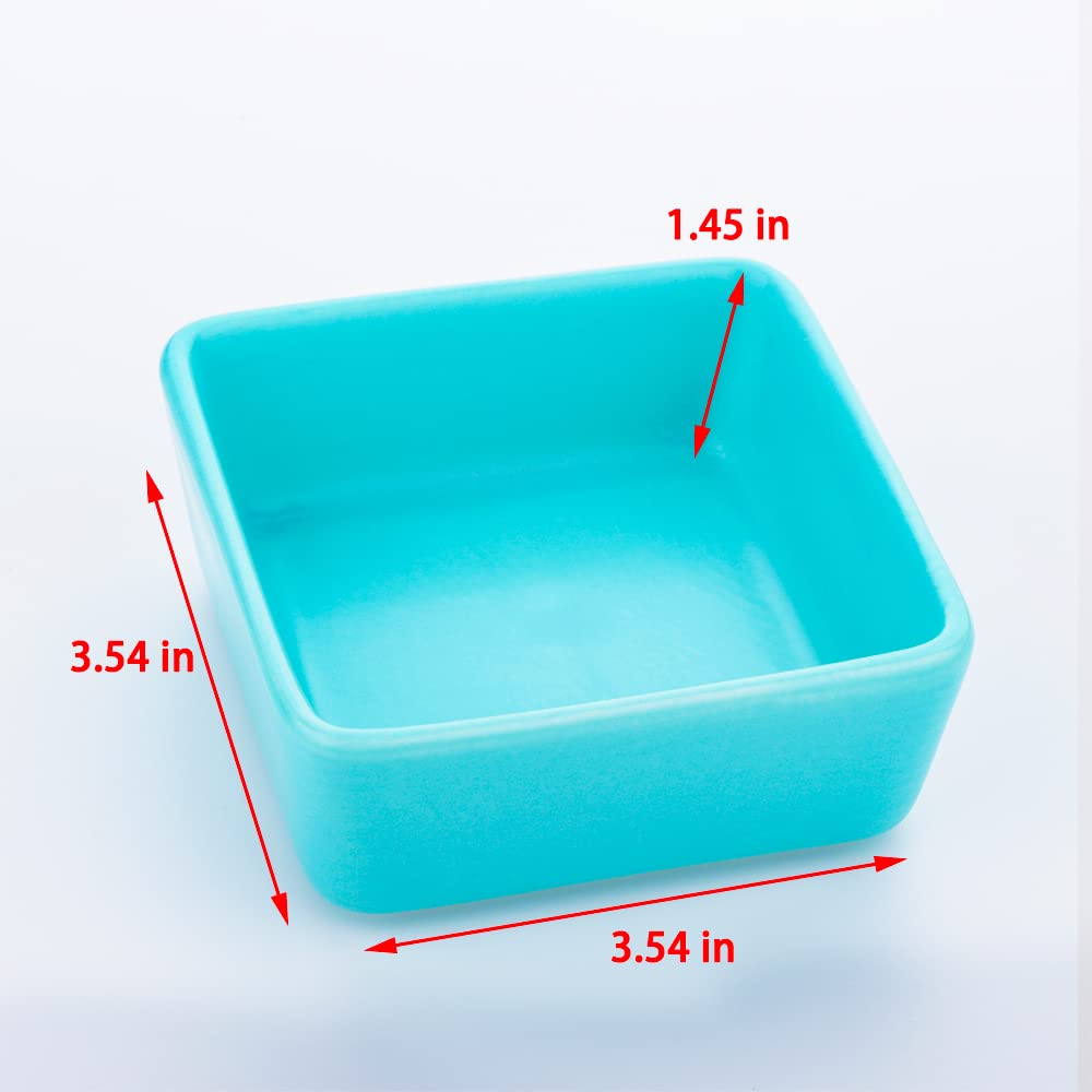 DQITJ ceramic bowl shows non-toxic glaze for small animals.