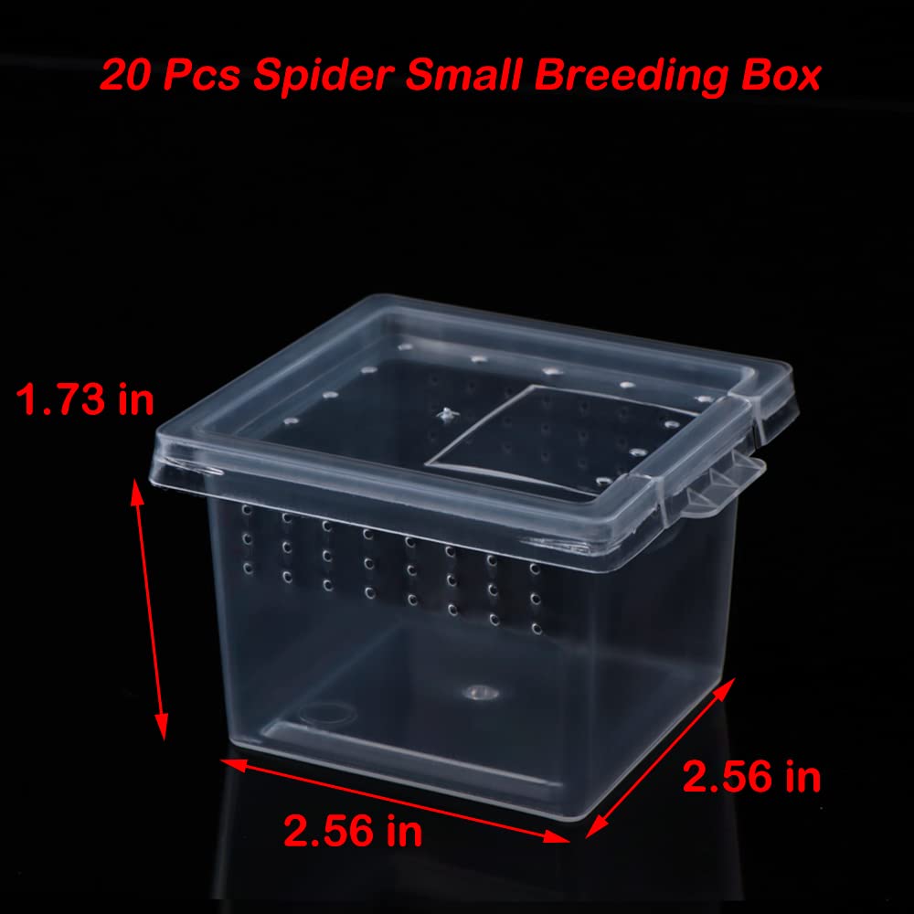 DQITJ spider terrarium size dimensions highlight compact 2.56 x 2.56 x 1.73 inch housing.