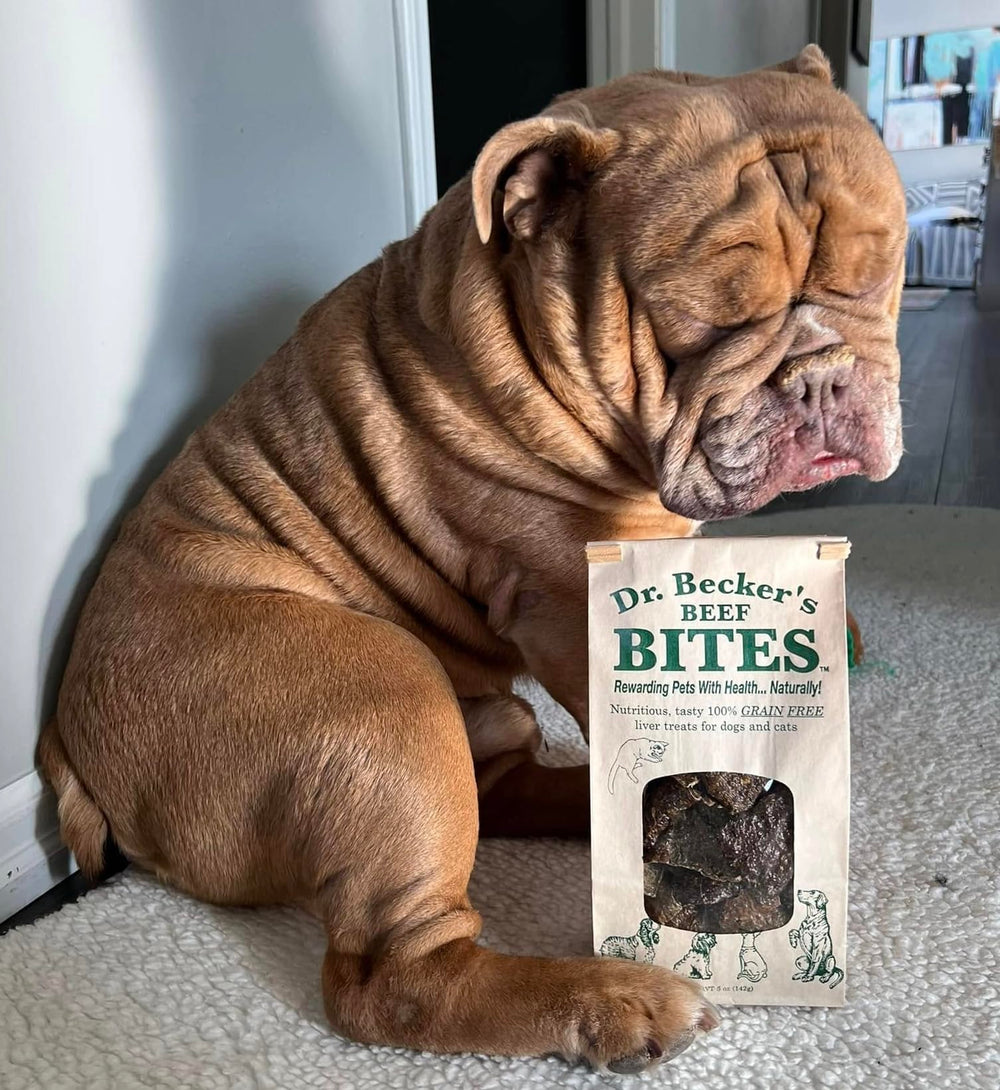 Dr. Becker's Original Beef Bites bag with serving suggestions.