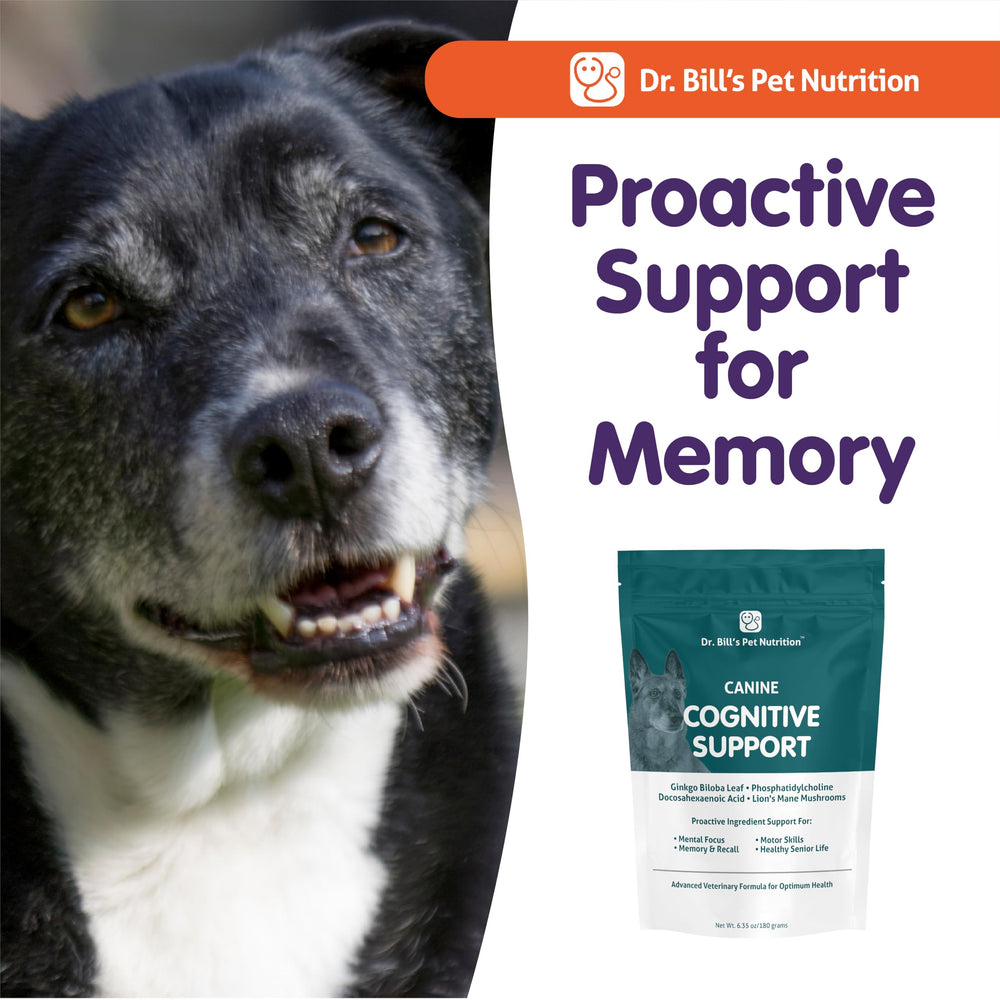 Dr. Bill’s Canine Cognitive Support aging-dog visual memory support.