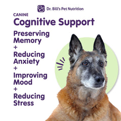 Dr. Bill’s Canine Cognitive Support gingko biloba closeup highlights brain-supporting ingredient.