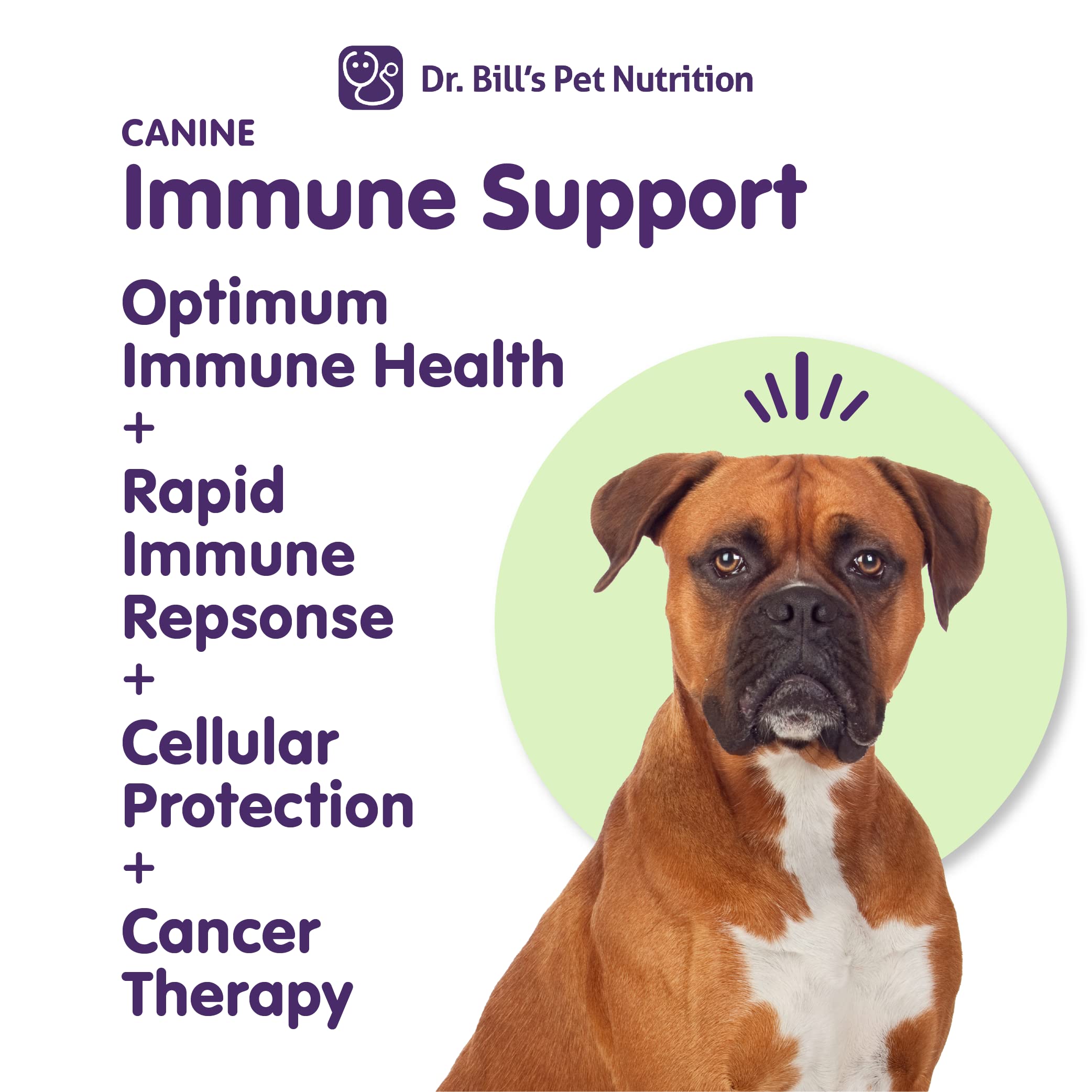 Dr. Bill’s Canine Immune Support ingredients closeup highlights immune-friendly components