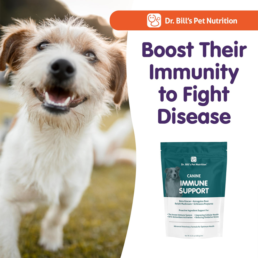 Dr. Bill’s Canine Immune Support USA-made label signals high quality and safety