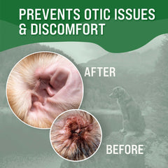 Dr Boe's VetraCleanse Advanced Otic Flush application closeup demonstrates gentle cleanliness.