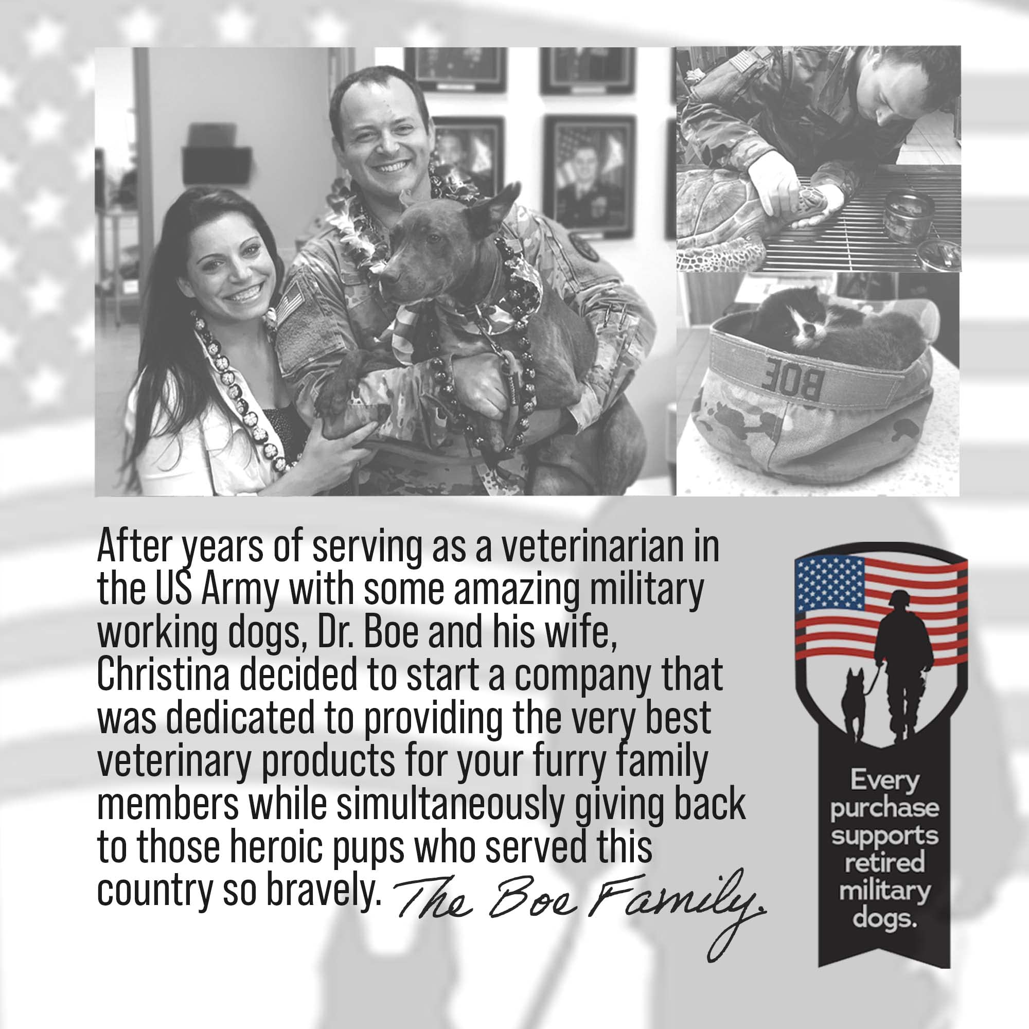 Owner applying Dr Boe's VetraCleanse during grooming session with pet.