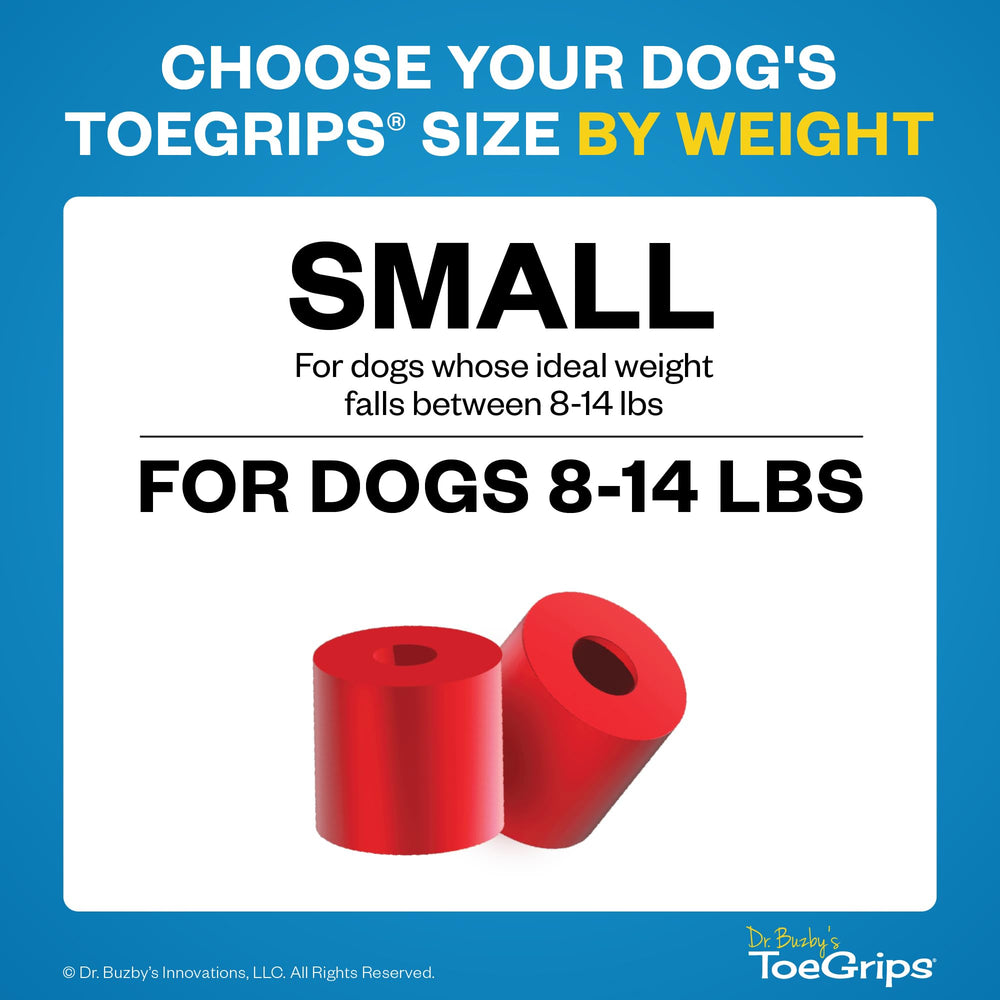 Dog walks confidently on hardwood with Dr Buzby's ToeGrips