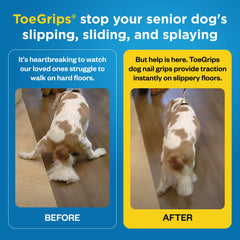 Dr. Buzby's ToeGrips application step-by-step shown on a dog's nail.