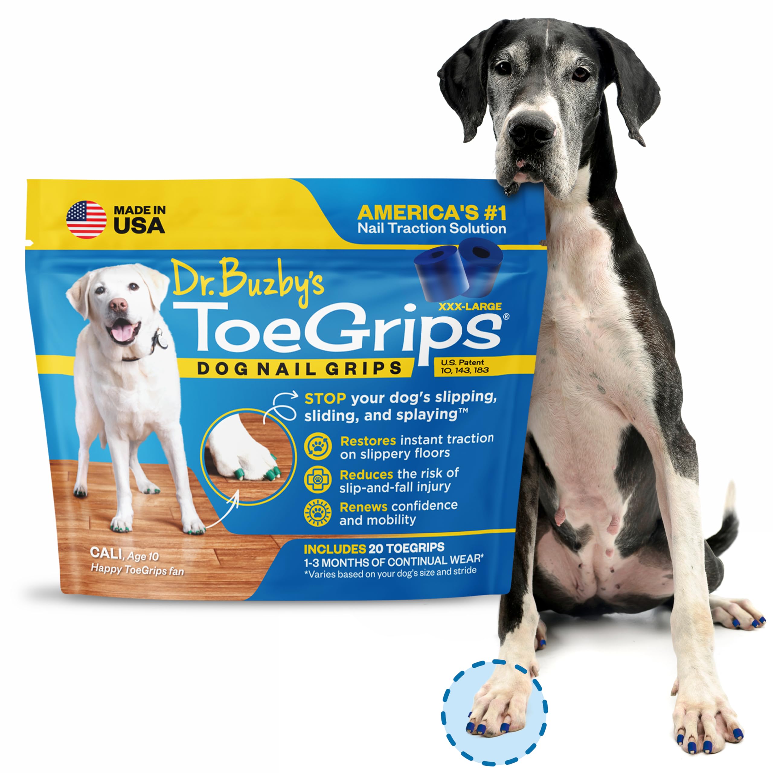 Senior dog using ToeGrips for steadier steps on wood floors