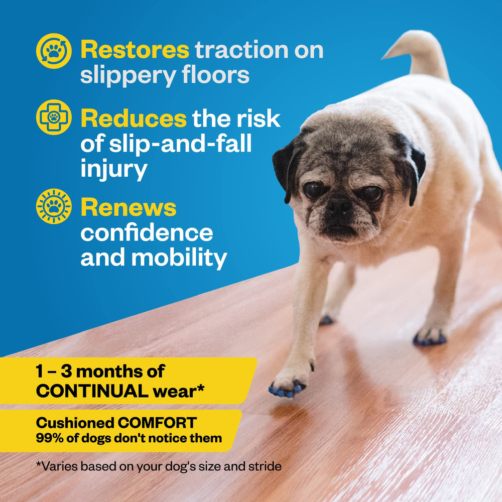 Senior dog using Dr Buzby's ToeGrips for steadier footing
